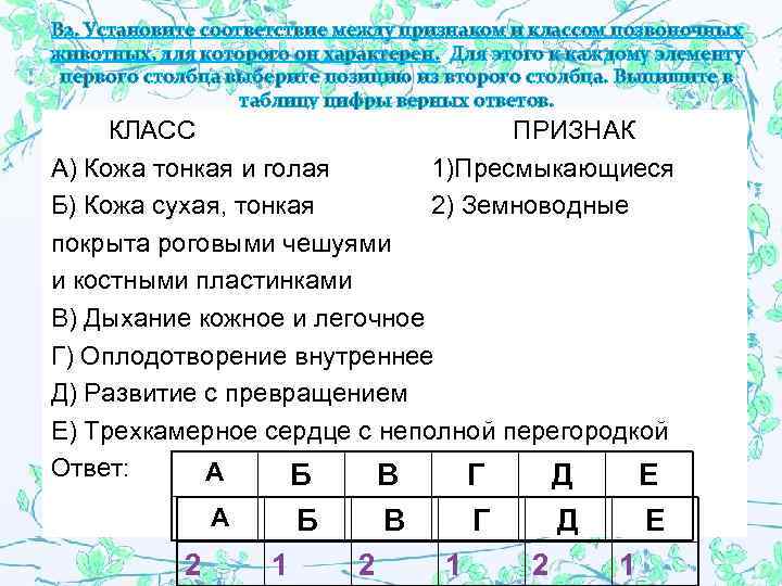 Установите соответствие между признаком растения и отделом. Установите соответствие между характеристиками и классами животных. Установи соответствие между характеристикой сердца и животным. Установите соответствие между характеристикой сердца и животным. Установи соответствие между характеристикой сердца и животными.