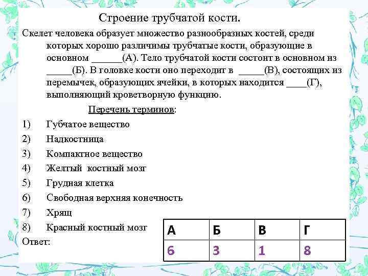  Строение трубчатой кости. Скелет человека образует множество разнообразных костей, среди которых хорошо различимы