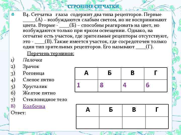 СТРОЕНИЕ СЕТЧАТКИ В 4. Сетчатка глаза содержит два типа рецепторов. Первые _____(А) – возбуждаются