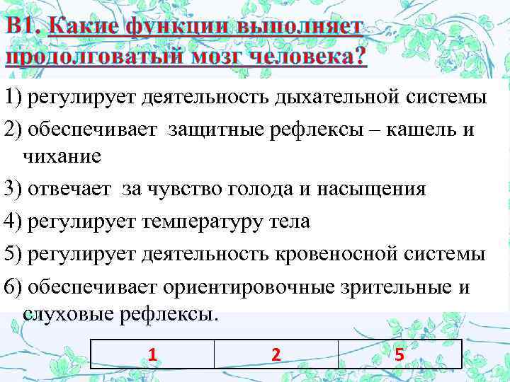 Какую функцию выполняет 3. Какую функцию выполняет продолговатый мозг. Какую функцию выполняет. Какие функции выполняет функции. Какие функции выполняет человек.