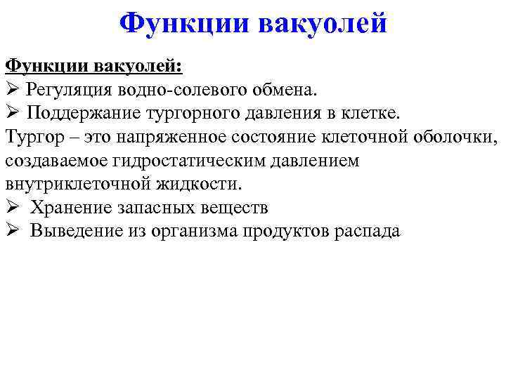 Функции вакуолей: Ø Регуляция водно-солевого обмена. Ø Поддержание тургорного давления в клетке. Тургор –