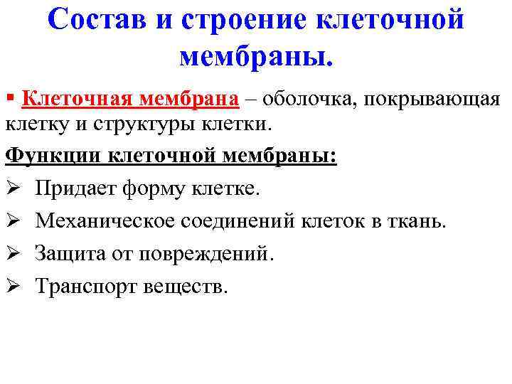 Состав и строение клеточной мембраны. § Клеточная мембрана – оболочка, покрывающая клетку и структуры