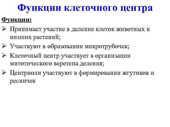 Функции клеточного центра Функции: Ø Принимает участие в деление клеток животных и низших растений;