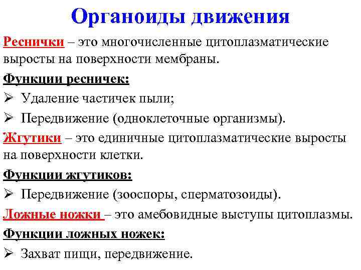 Органоиды движения Реснички – это многочисленные цитоплазматические выросты на поверхности мембраны. Функции ресничек: Ø