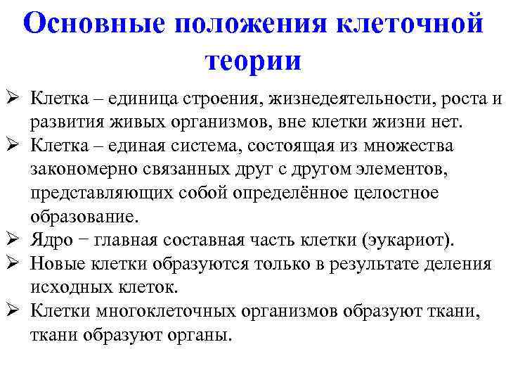 Основные положения клеточной теории Ø Клетка – единица строения, жизнедеятельности, роста и развития живых