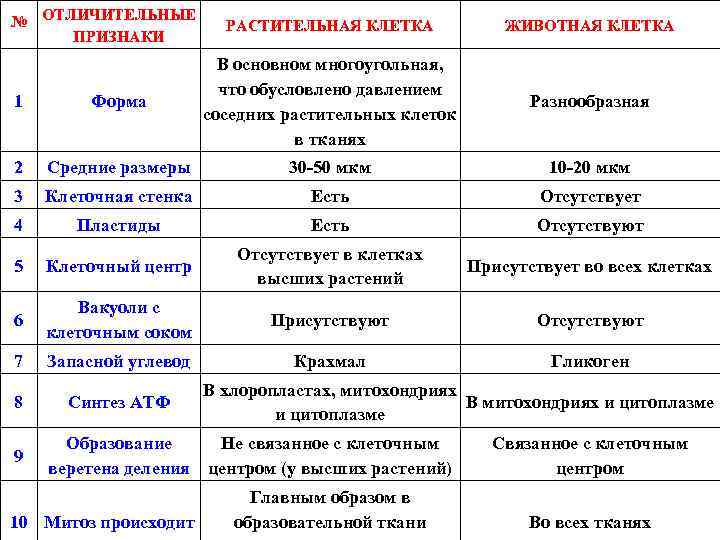 № ОТЛИЧИТЕЛЬНЫЕ ПРИЗНАКИ РАСТИТЕЛЬНАЯ КЛЕТКА ЖИВОТНАЯ КЛЕТКА Разнообразная 1 Форма В основном многоугольная, что