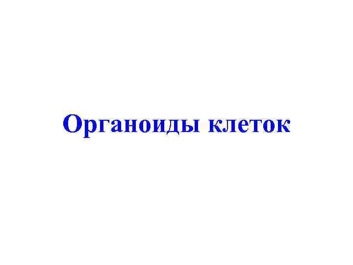 Органоиды клеток 