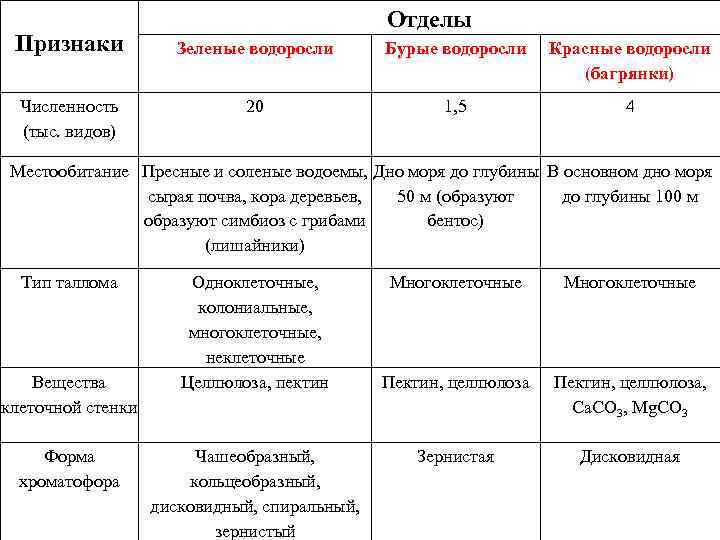 Таблица зеленых водорослей. Характеристика основных отделов водорослей. Отделы водорослей таблица. Таблица по биологии 7 класс отделы водорослей. Сравнительная характеристика отделов водорослей.