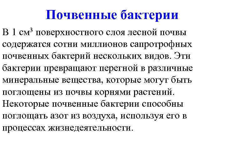 Почвенные бактерии В 1 см 3 поверхностного слоя лесной почвы содержатся сотни миллионов сапротрофных
