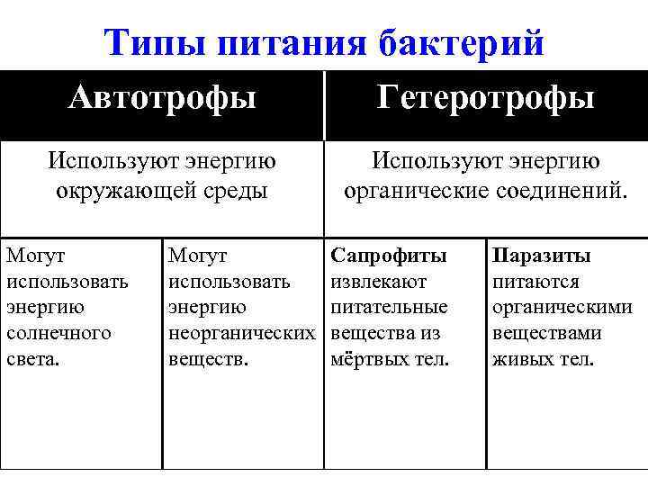 Типы питания бактерий Автотрофы Гетеротрофы Используют энергию окружающей среды Используют энергию органические соединений. Могут