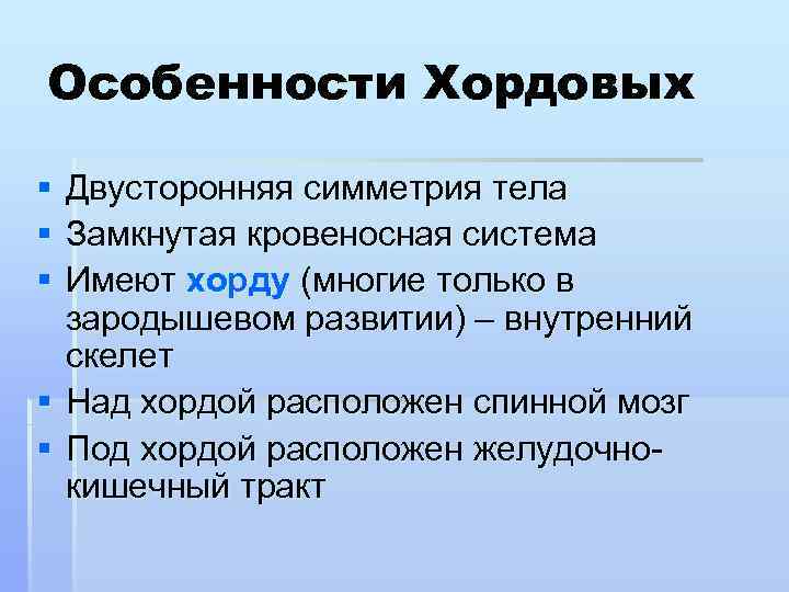 5 классов хордовых животных