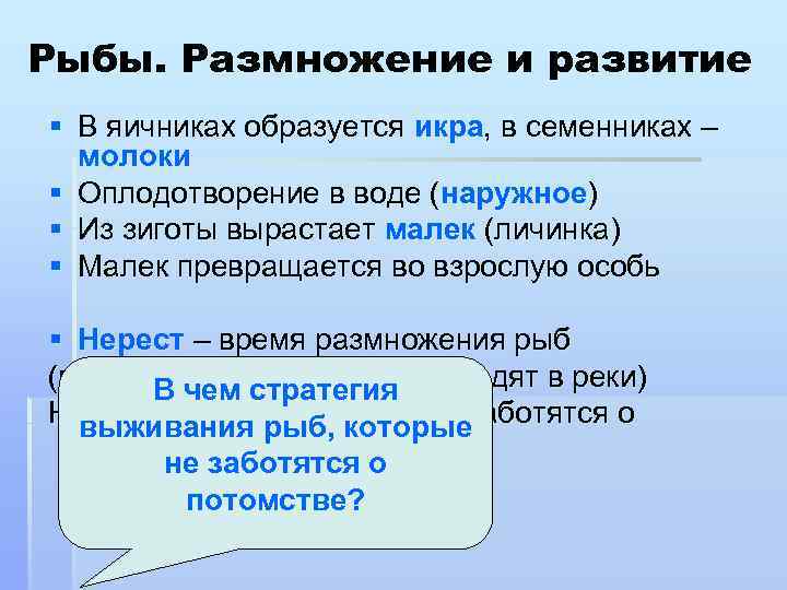 Рыбы. Размножение и развитие § В яичниках образуется икра, в семенниках – молоки §