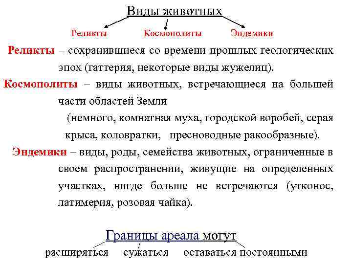 Виды миграции животных схема