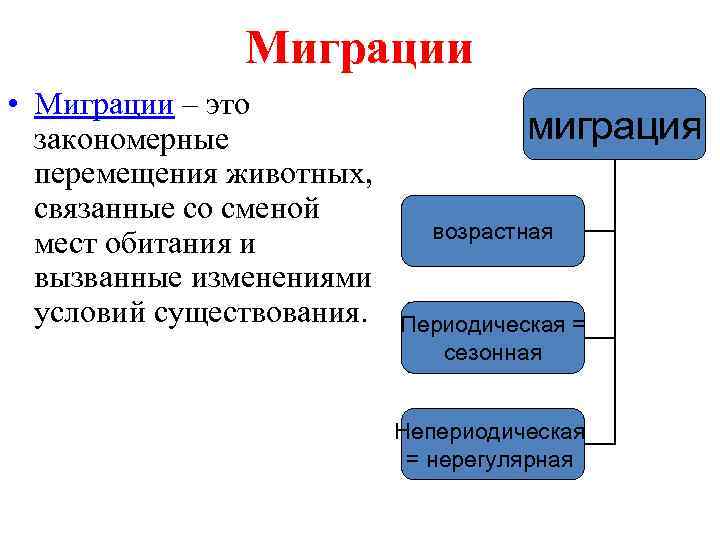 Схема миграции животных