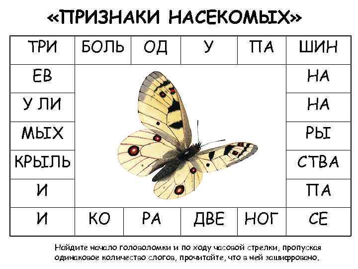  «ПРИЗНАКИ НАСЕКОМЫХ» ТРИ БОЛЬ ОД У ПА ШИН ЕВ НА У ЛИ НА