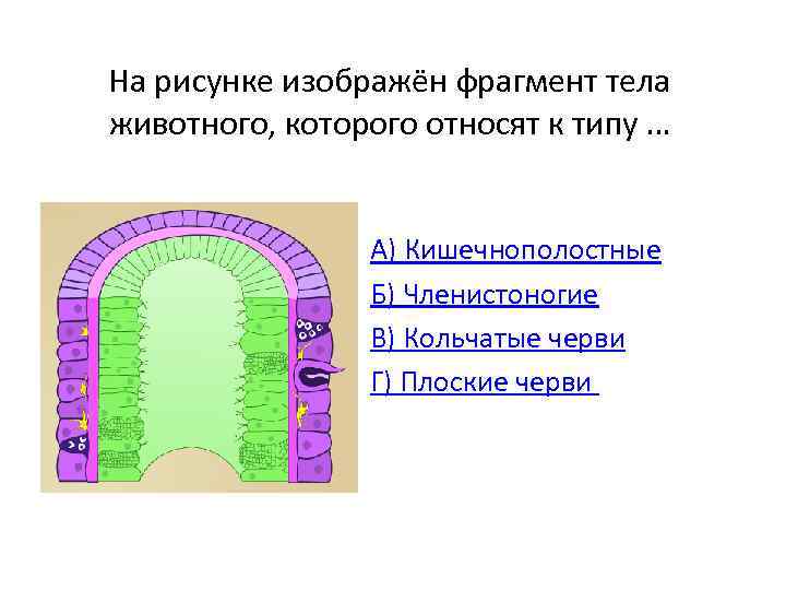 На рисунке изображен фрагмент