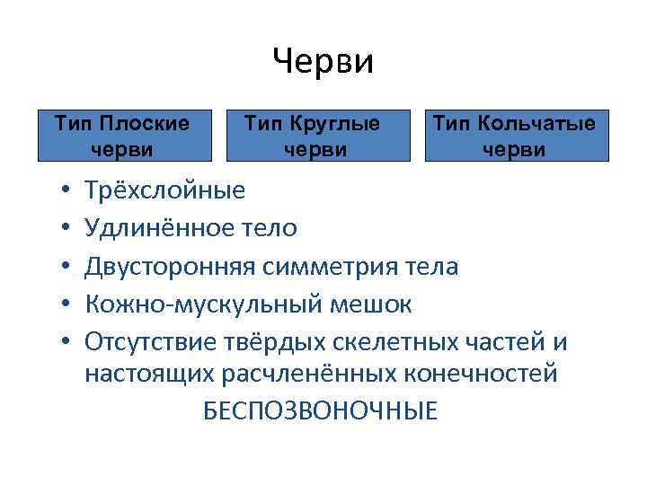 Черви Тип Плоские черви • • • Тип Круглые черви Тип Кольчатые черви Трёхслойные