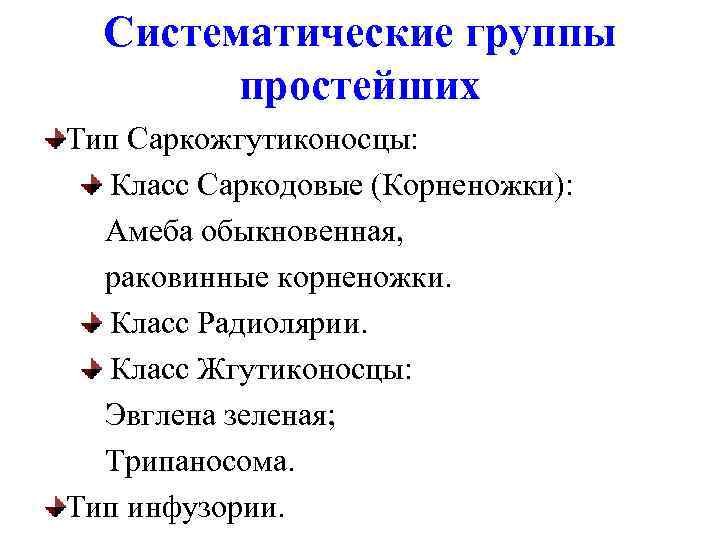 Каких животных объединяют в группу корненожки составьте план ответа об особенностях амебы кратко