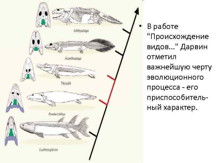  • В работе 