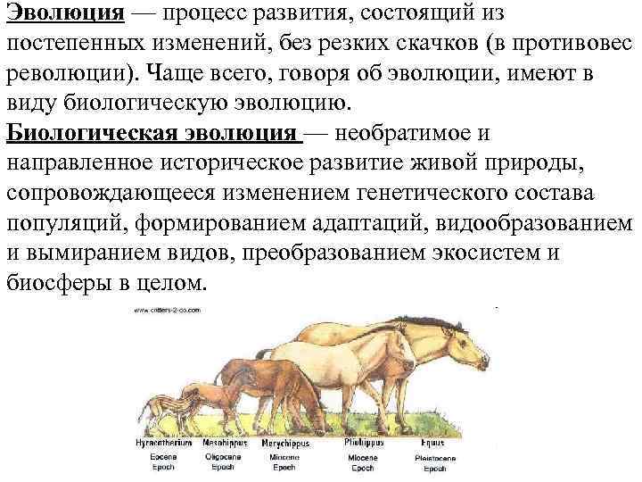 Эволюция — процесс развития, состоящий из постепенных изменений, без резких скачков (в противовес революции).