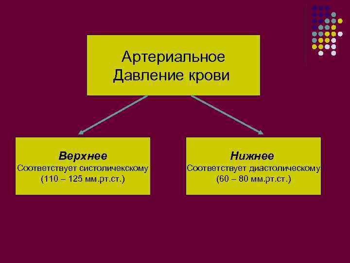 Артериальное Давление крови Верхнее Нижнее Соответствует систоличекскому (110 – 125 мм. рт. ст. )