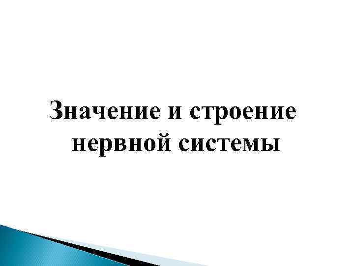Значение и строение нервной системы 