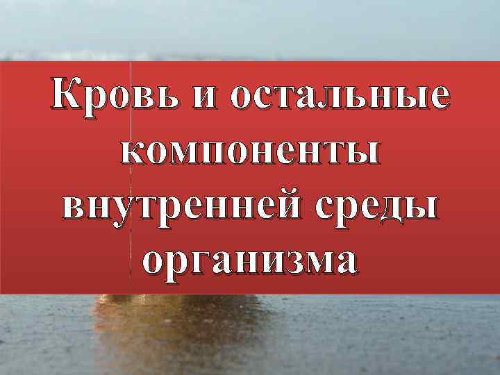 Кровь и остальные компоненты внутренней среды организма 