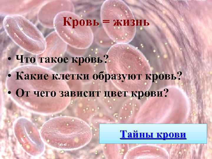 Кровь = жизнь • Что такое кровь? • Какие клетки образуют кровь? • От