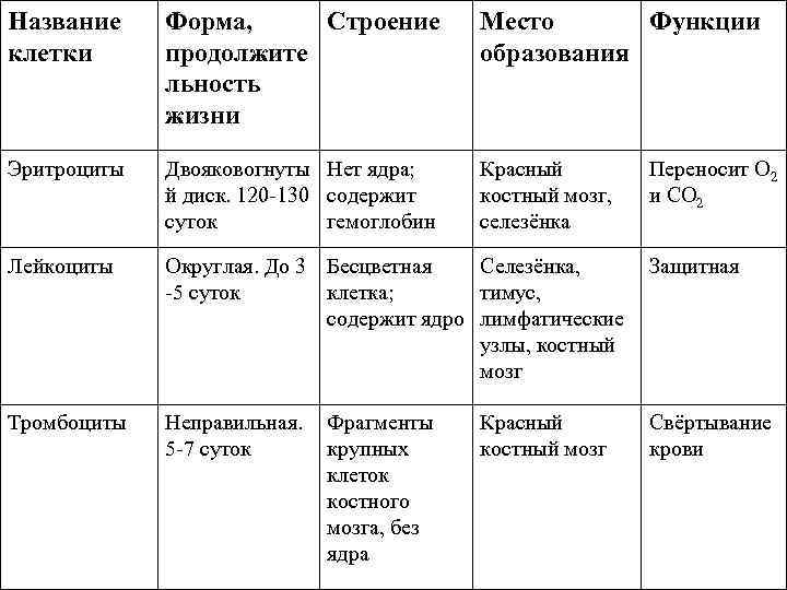 Название клетки Форма, Строение продолжите льность жизни Место Функции образования Эритроциты Двояковогнуты Нет ядра;