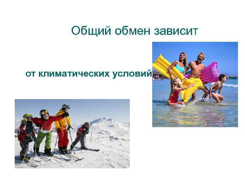 Общий обмен зависит от климатических условий 