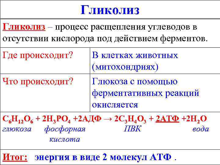 Гликолиз – процесс расщепления углеводов в отсутствии кислорода под действием ферментов. Где происходит? Что