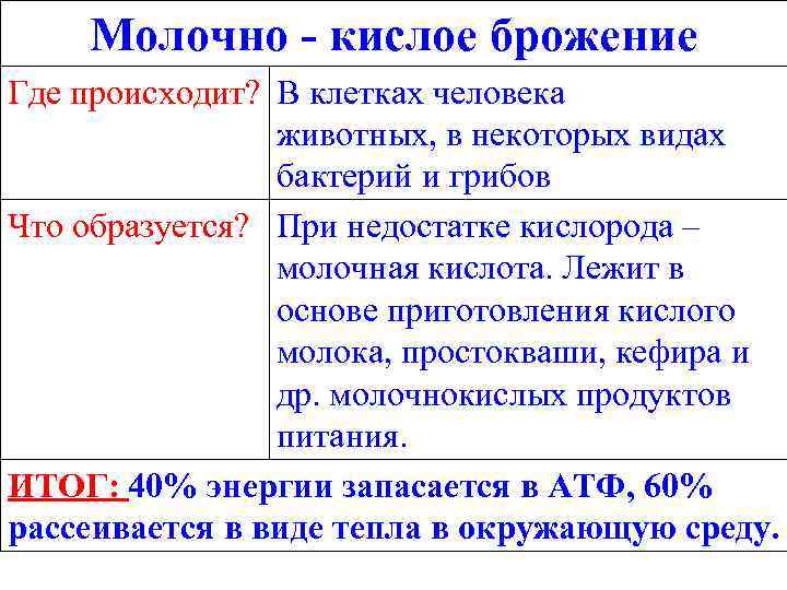 Молочно - кислое брожение Где происходит? В клетках человека животных, в некоторых видах бактерий