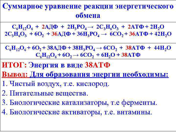 Суммарное уравнение реакции энергетического обмена С 6 Н 12 О 6 + 2 АДФ