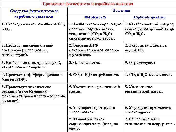 Сравнение процессоров фотосинтеза и дыхания таблица 6 класс ответы