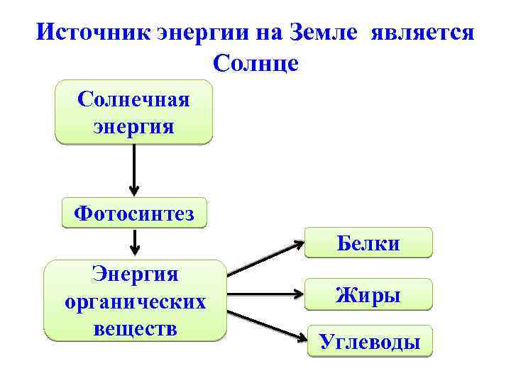 Источник энергии на Земле является Солнце Солнечная энергия Фотосинтез Белки Энергия органических веществ Жиры