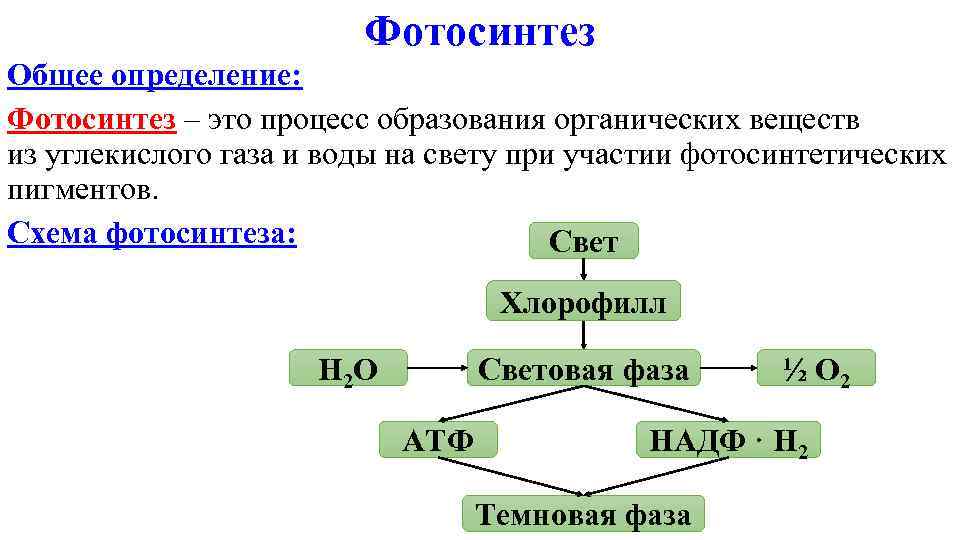 Фотосинтез Общее определение: Фотосинтез – это процесс образования органических веществ из углекислого газа и