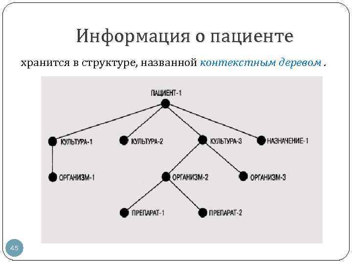 Информация о пациенте хранится в структуре, названной контекстным деревом. 45 