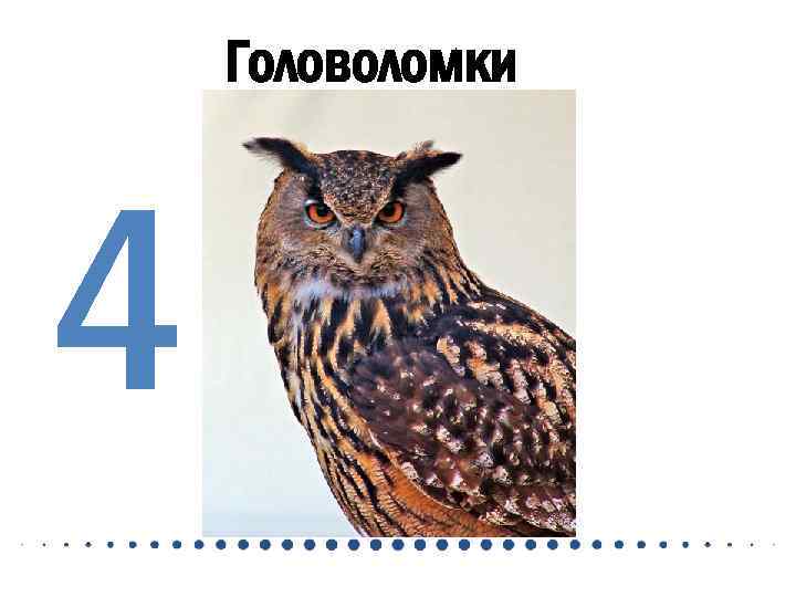 Головоломки 4 