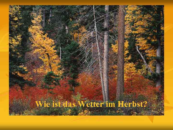 Wie ist das Wetter im Herbst? 