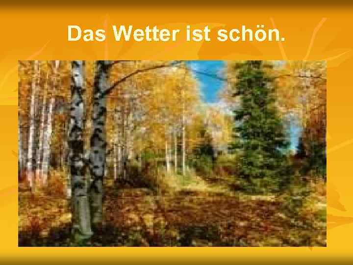 Das Wetter ist schön. 