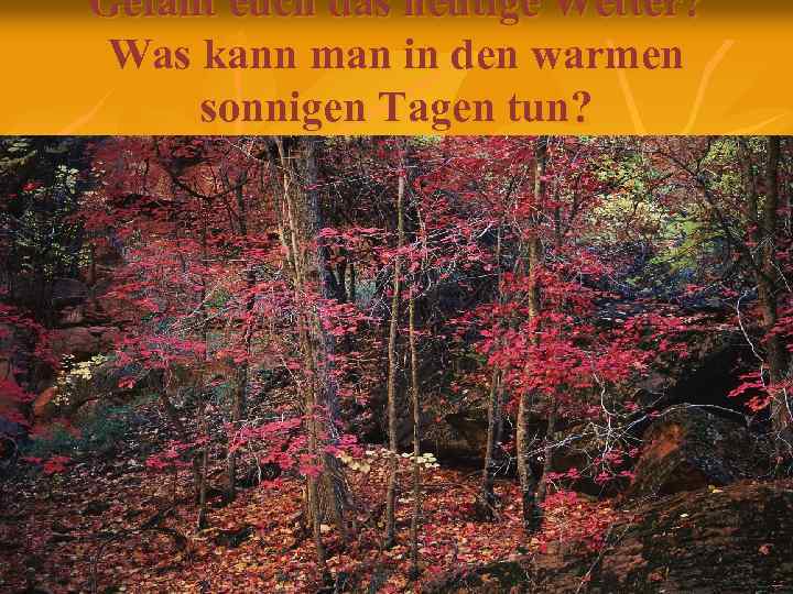 Gefällt euch das heutige Wetter? Was kann man in den warmen sonnigen Tagen tun?