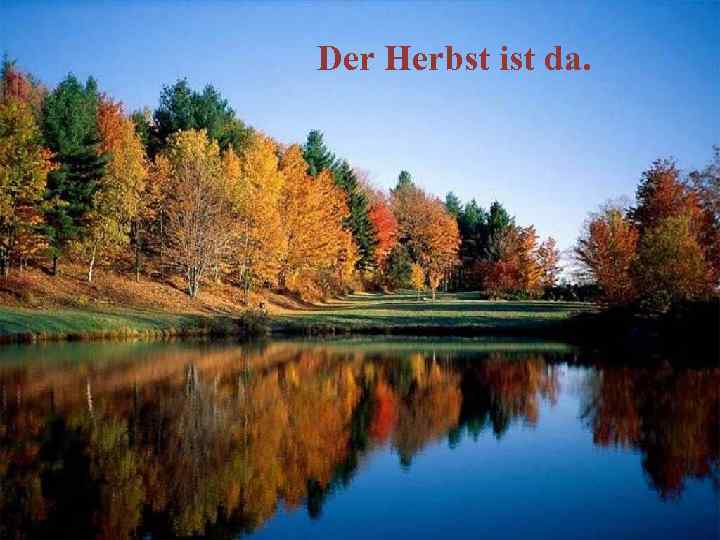 Der Herbst ist da. 