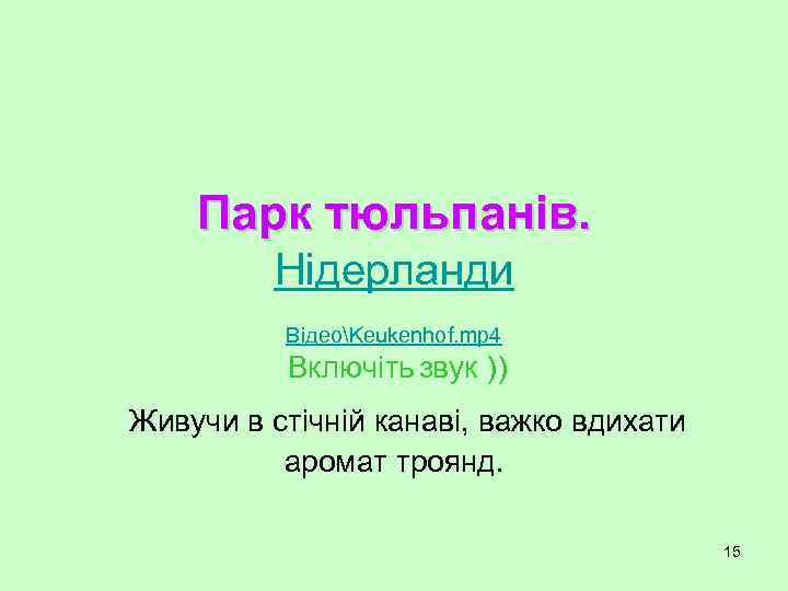 Парк тюльпанів. Нідерланди ВідеоKeukenhof. mp 4 Включіть звук )) Живучи в стічній канаві, важко