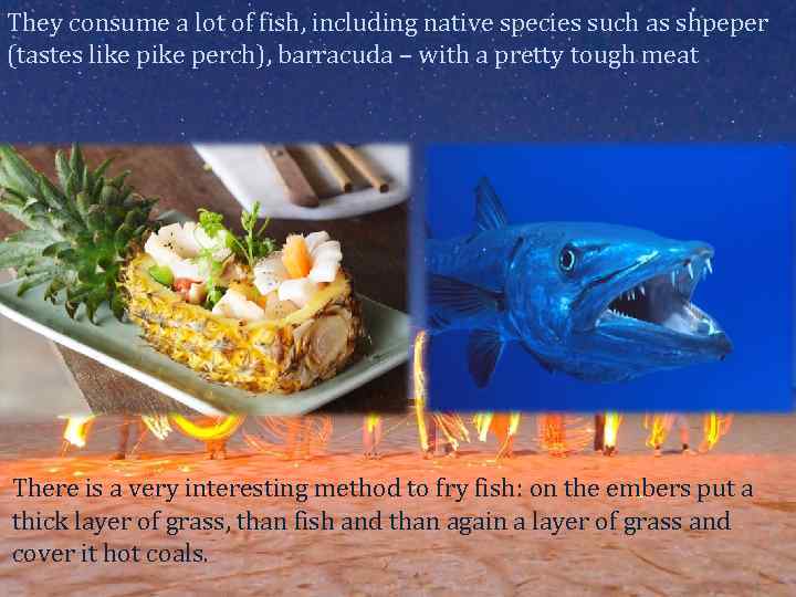They consume a lot of fish, including native species such as shpeper (tastes like