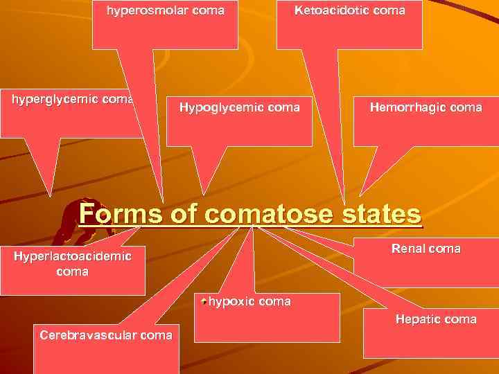 hyperosmolar coma hyperglycemic coma Ketoacidotic coma Hypoglycemic coma Hemorrhagic coma Forms of comatose states