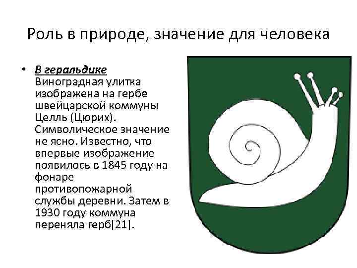 Роль в природе, значение для человека • В геральдике Виноградная улитка изображена на гербе