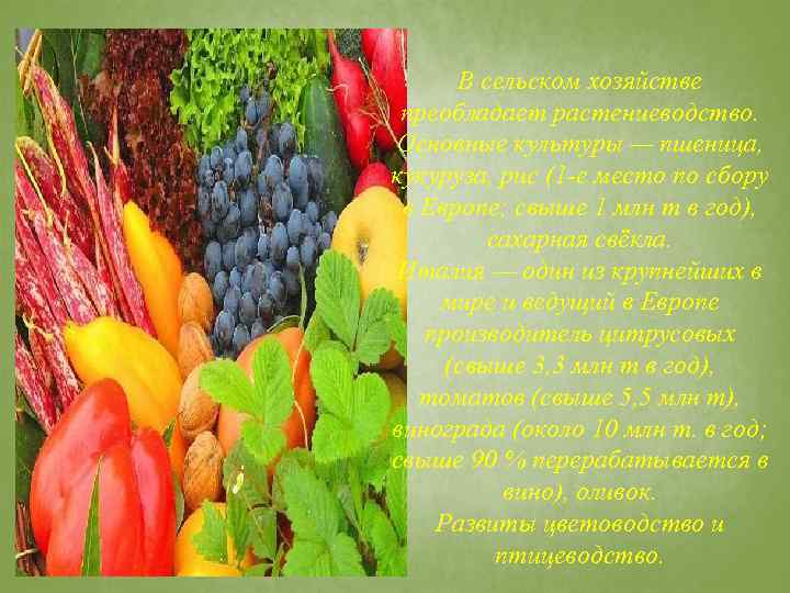 В сельском хозяйстве преобладает растениеводство. Основные культуры — пшеница, кукуруза, рис (1 -е место