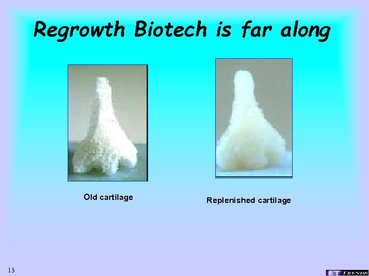 Regrowth Biotech is far along Old cartilage 13 Replenished cartilage 