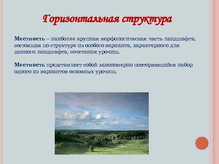 Горизонтальная структура Местность – наиболее крупная морфологическая часть ландшафта, состоящая по структуре из особого