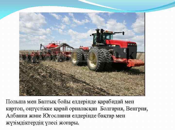 Польша мен Балтық бойы елдерінде қарабидай мен картоп, оңтүстікке қарай орналасқан Болгария, Венгрия, Албания